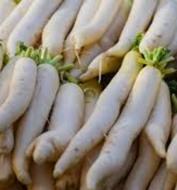 Daikon Radish WHITE (LOCAL)